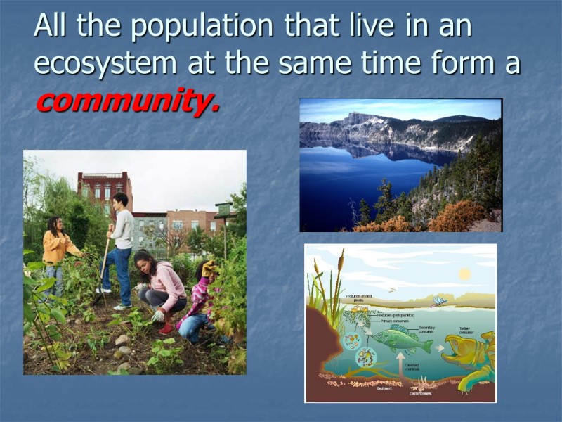 All the population that live in an ecosystem at the same time form a